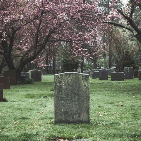 Postdoctoral researcher Rachel K. Alexander examines the importance of cemeteries in new article